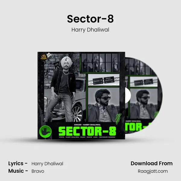 Sector-8 - Harry Dhaliwal album cover 