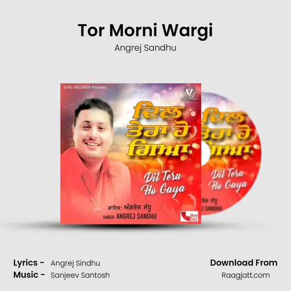 Tor Morni Wargi - Angrej Sandhu album cover 