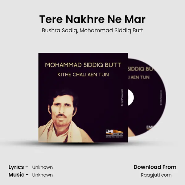 Tere Nakhre Ne Mar - Bushra Sadiq album cover 