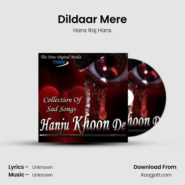 Dildaar Mere - Hans Raj Hans album cover 