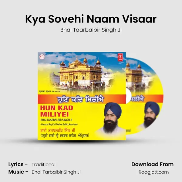 Kya Sovehi Naam Visaar - Bhai Taarbalbir Singh Ji album cover 