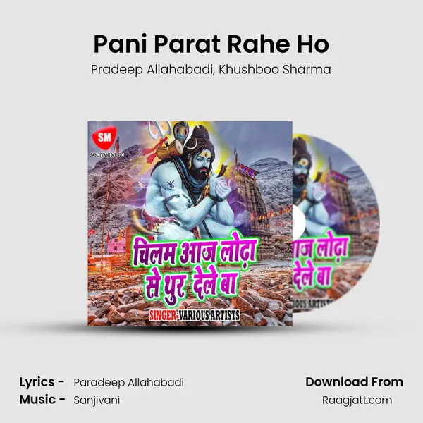 Pani Parat Rahe Ho mp3 song