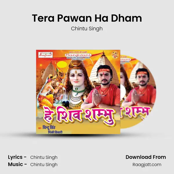 Tera Pawan Ha Dham mp3 song