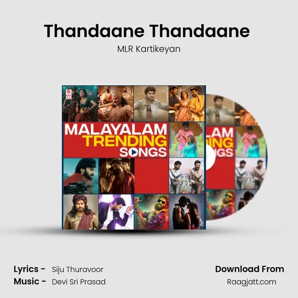 Thandaane Thandaane (From Vinaya Vidheya Rama) mp3 song