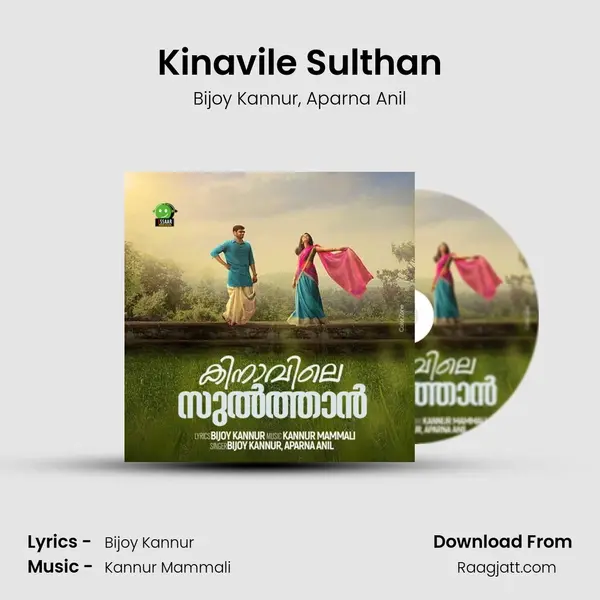 Kinavile Sulthan - Bijoy Kannur album cover 