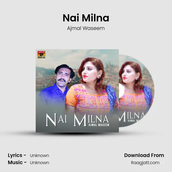 Nai Milna mp3 song