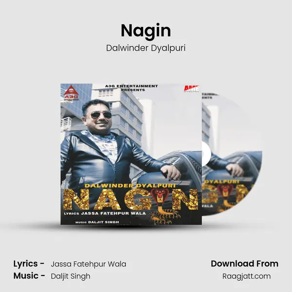 Nagin mp3 song