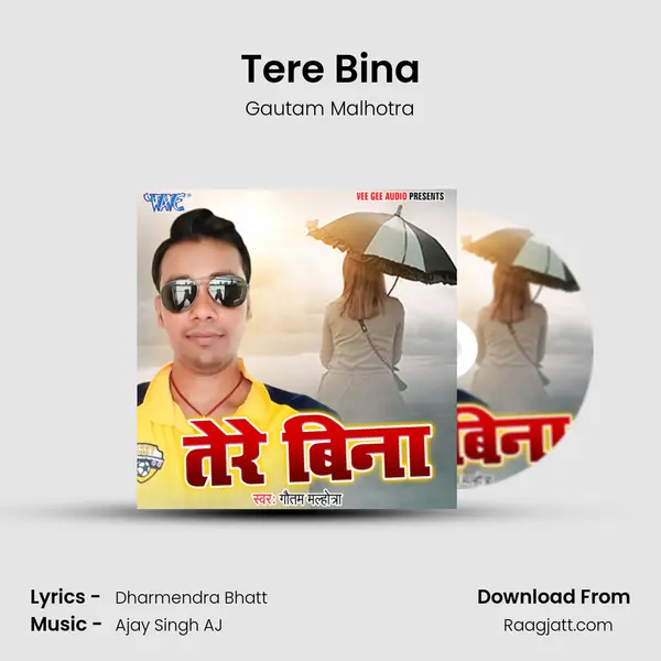 Tere Bina mp3 song