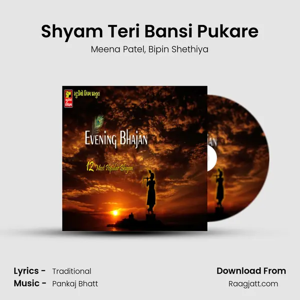 Shyam Teri Bansi Pukare mp3 song