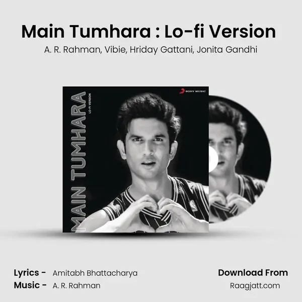 Main Tumhara : Lo-fi Version (Tribute to Sushant Singh Rajput) mp3 song