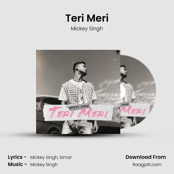 Teri Meri - Mickey Singh album cover 