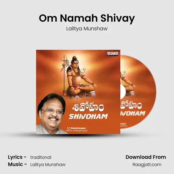 Om Namah Shivay - Lalitya Munshaw album cover 