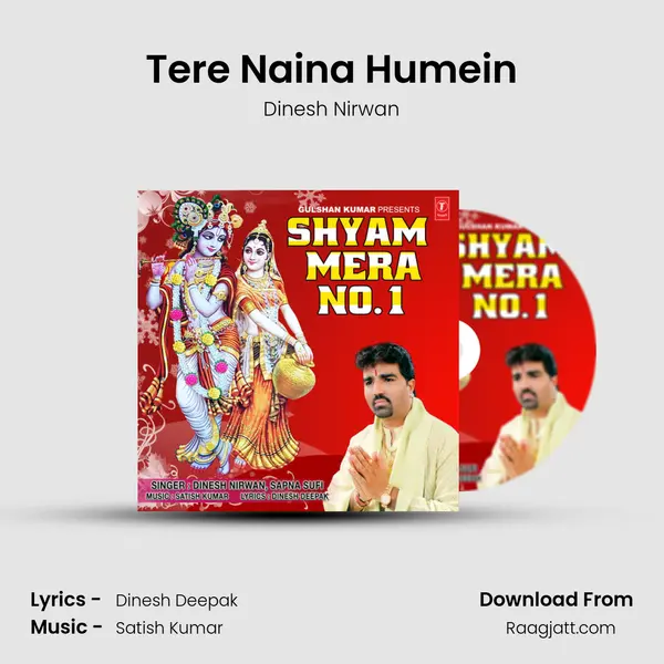 Tere Naina Humein - Dinesh Nirwan album cover 