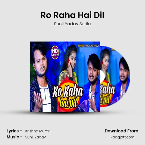 Ro Raha Hai Dil - Sunil Yadav Surila album cover 