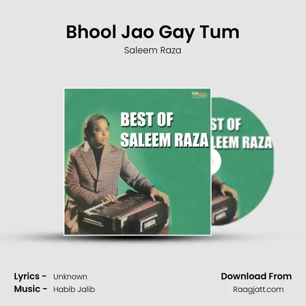 Bhool Jao Gay Tum - Saleem Raza album cover 