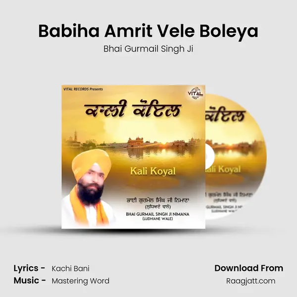 Babiha Amrit Vele Boleya - Bhai Gurmail Singh Ji album cover 