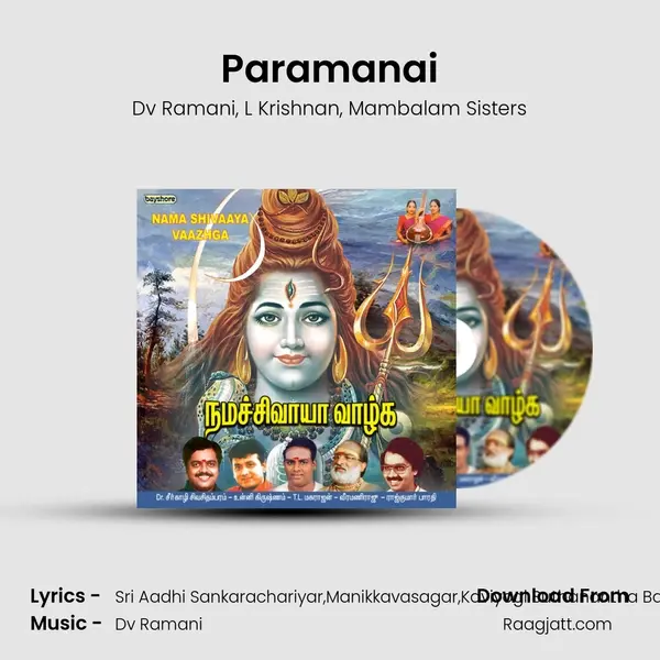 Paramanai - Dv Ramani album cover 