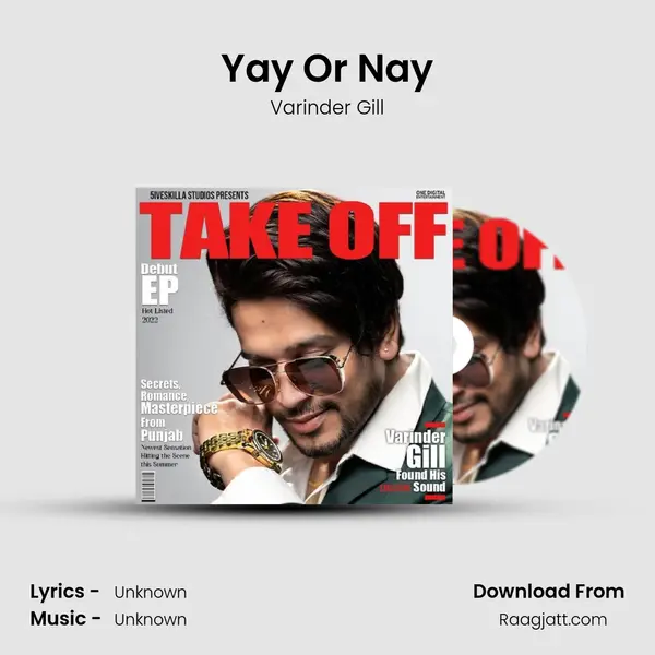 Yay Or Nay - Varinder Gill album cover 