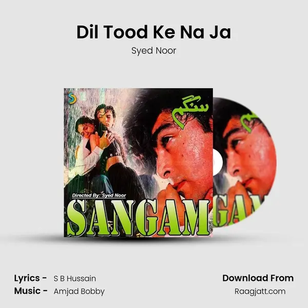 Dil Tood Ke Na Ja - Syed Noor album cover 