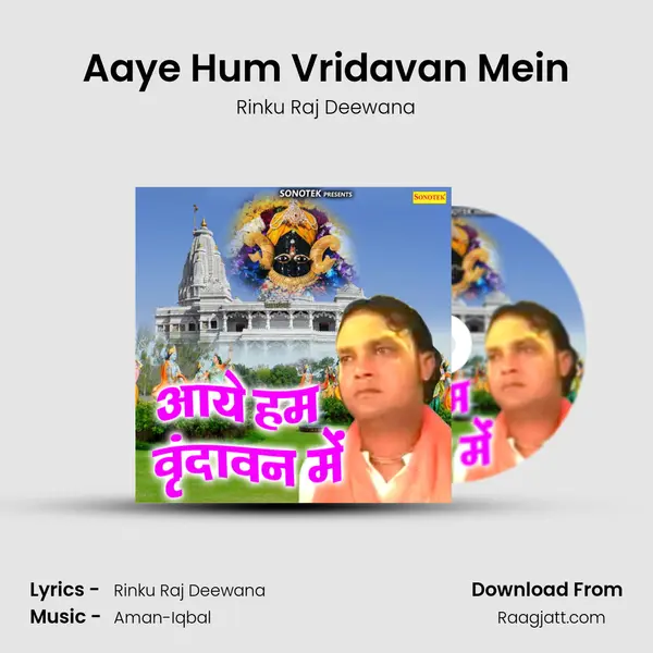 Aaye Hum Vridavan Mein - Rinku Raj Deewana album cover 