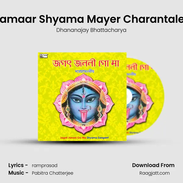 Aamaar Shyama Mayer Charantaley - Dhananajay Bhattacharya album cover 