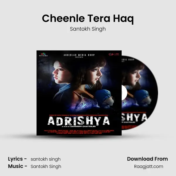 Cheenle Tera Haq - Santokh Singh album cover 