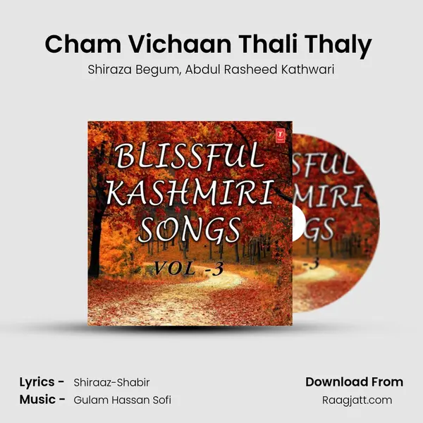 Cham Vichaan Thali Thaly (From Khanjar) mp3 song