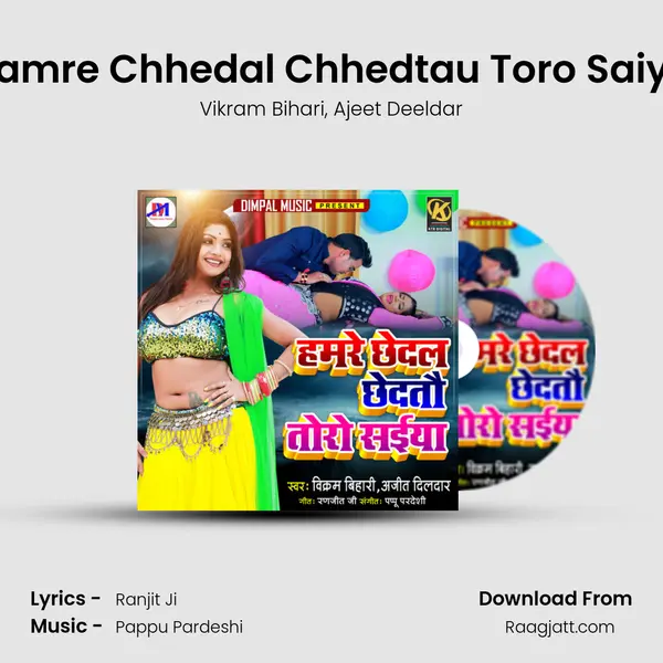 Hamre Chhedal Chhedtau Toro Saiya mp3 song