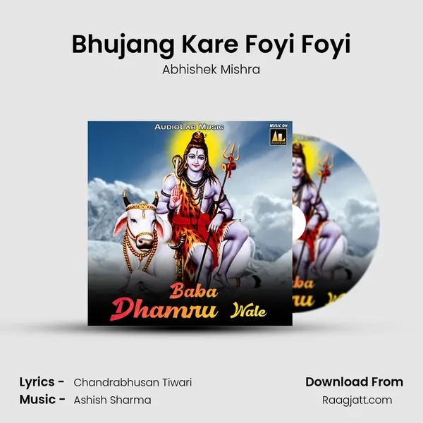 Bhujang Kare Foyi Foyi - Abhishek Mishra album cover 