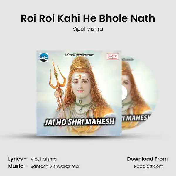 Roi Roi Kahi He Bhole Nath - Vipul Mishra album cover 