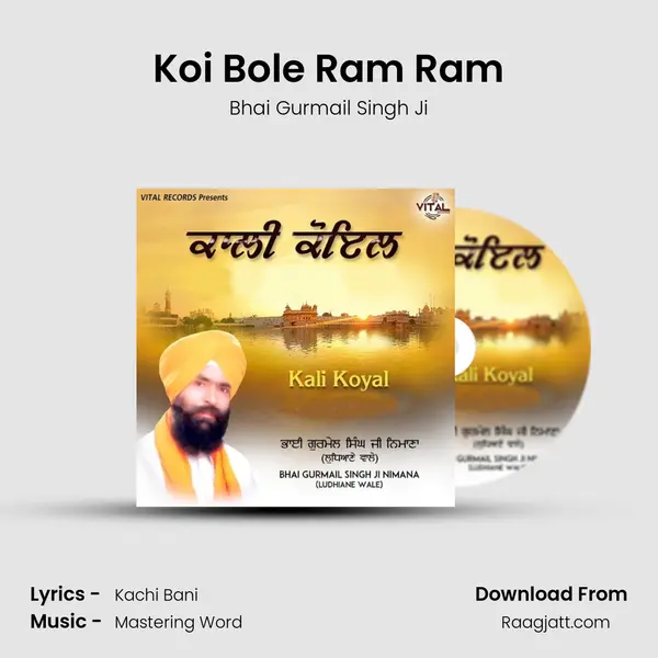 Koi Bole Ram Ram - Bhai Gurmail Singh Ji album cover 