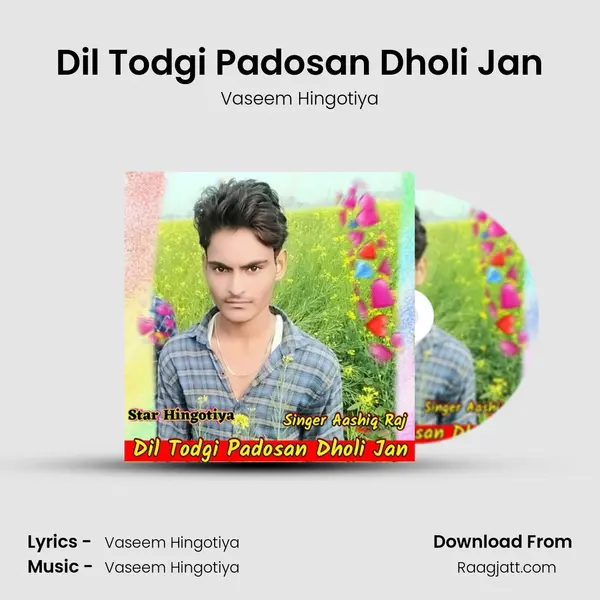 Dil Todgi Padosan Dholi Jan - Vaseem Hingotiya album cover 