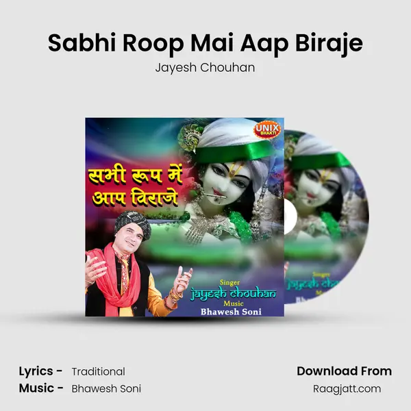 Sabhi Roop Mai Aap Biraje - Jayesh Chouhan album cover 