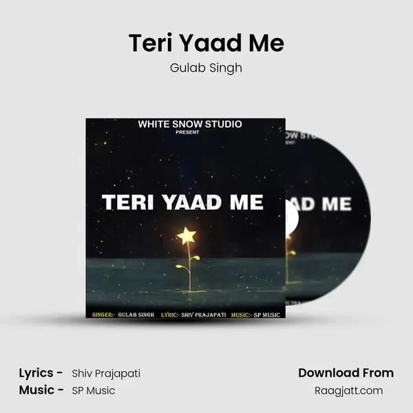 Teri Yaad Me - Gulab Singh album cover 