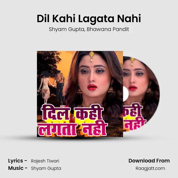 Dil Kahi Lagata Nahi - Shyam Gupta album cover 