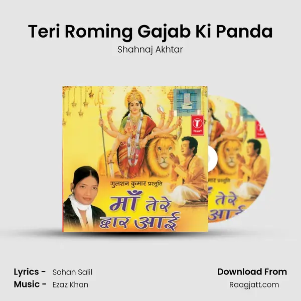 Teri Roming Gajab Ki Panda mp3 song