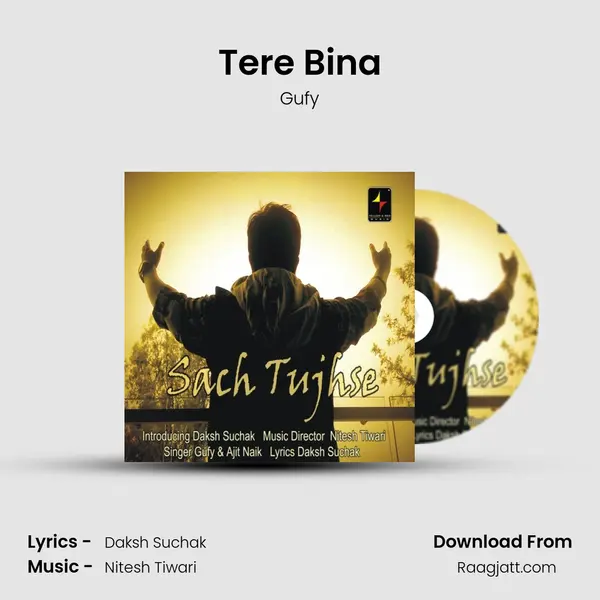 Tere Bina - Gufy album cover 