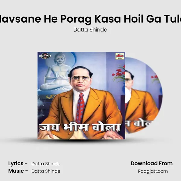 Navsane He Porag Kasa Hoil Ga Tula - Datta Shinde album cover 