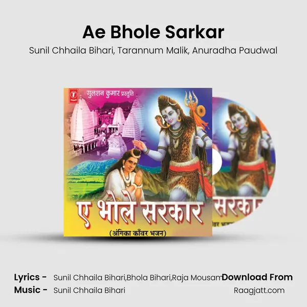 Ae Bhole Sarkar - Sunil Chhaila Bihari album cover 