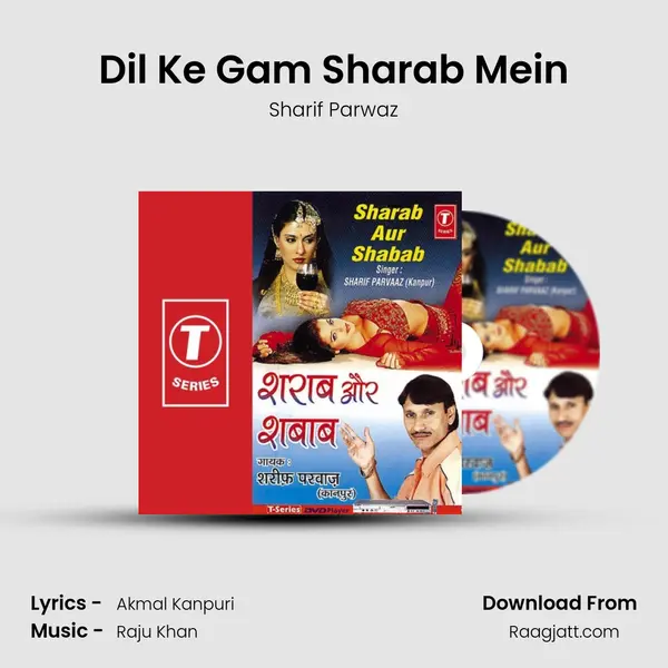 Dil Ke Gam Sharab Mein mp3 song