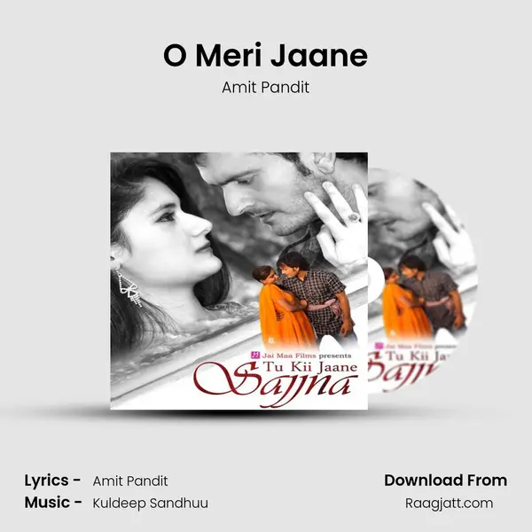 O Meri Jaane - Amit Pandit album cover 