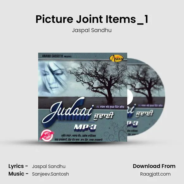 Picture Joint Items_1 mp3 song