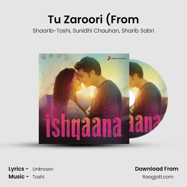 Tu Zaroori (From mp3 song