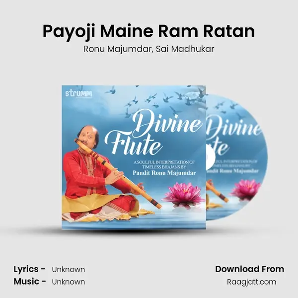 Payoji Maine Ram Ratan - Ronu Majumdar album cover 