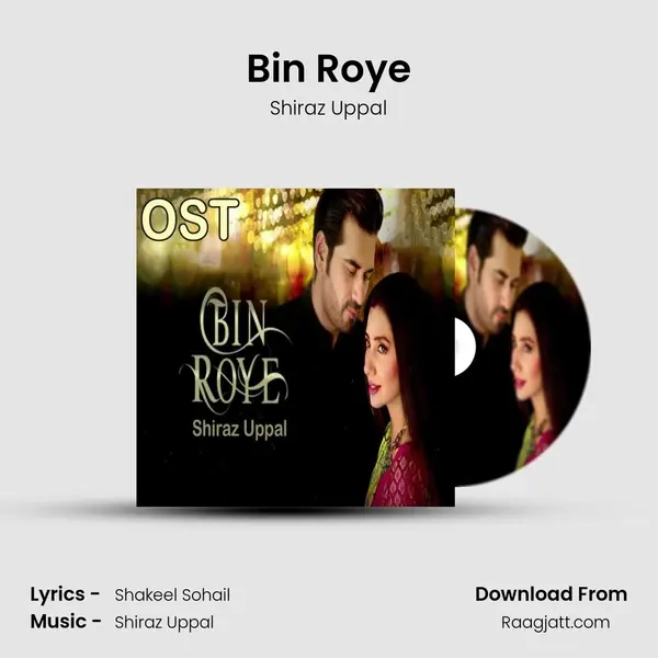 Bin Roye mp3 song