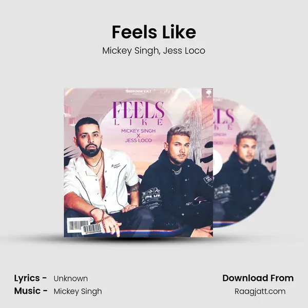 Feels Like - Mickey Singh album cover 