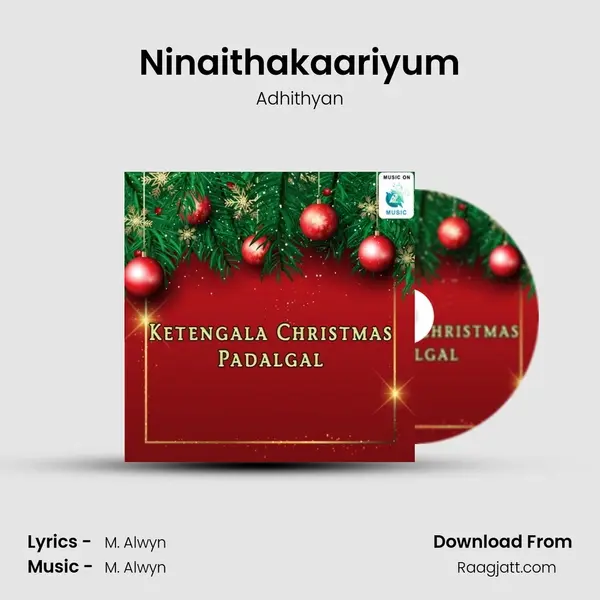 Ninaithakaariyum - Adhithyan album cover 