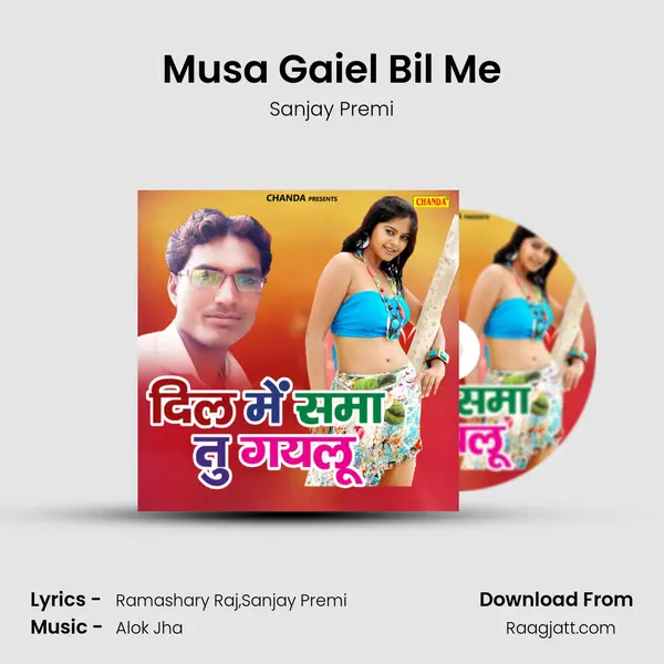 Musa Gaiel Bil Me mp3 song