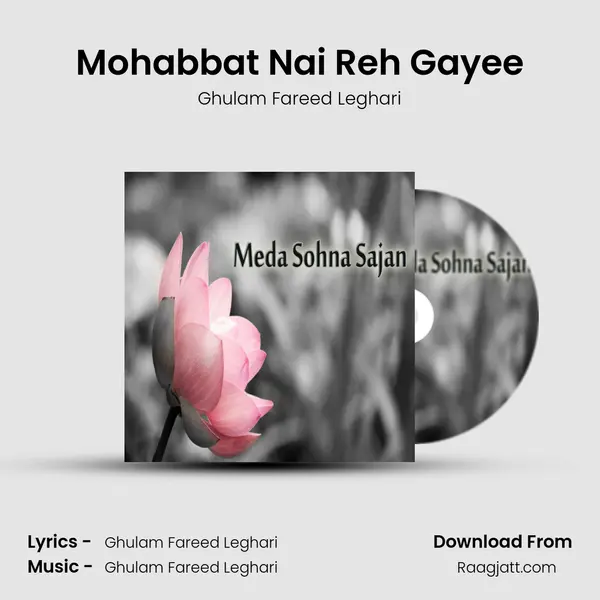 Mohabbat Nai Reh Gayee mp3 song