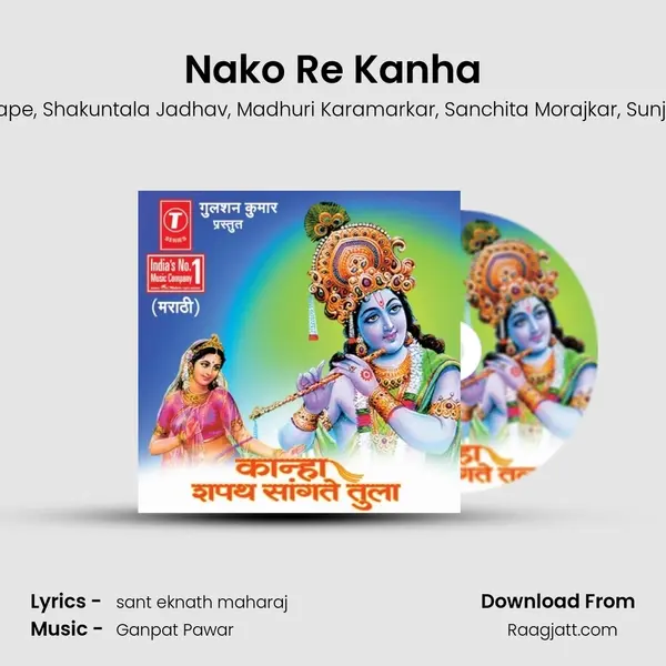 Nako Re Kanha - Vijay Sartape album cover 